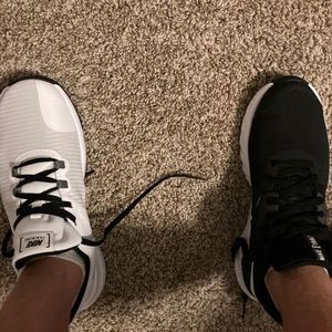 Meet your Posher, Fletcher